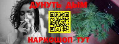 сатива Усть-Джегута