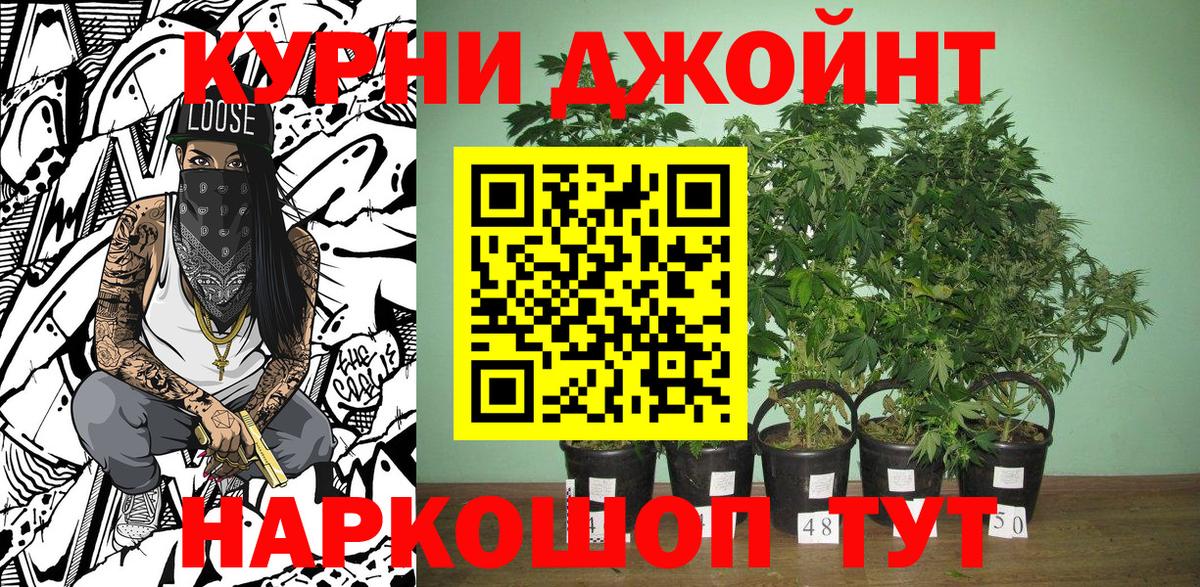 Конопля семена  Вход с VPN  Людиново  Шишки марихуана Amnesia 